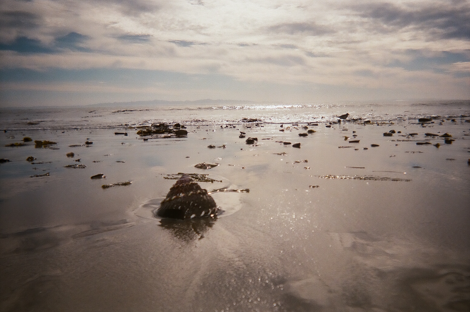 Spacebro meets The Coast